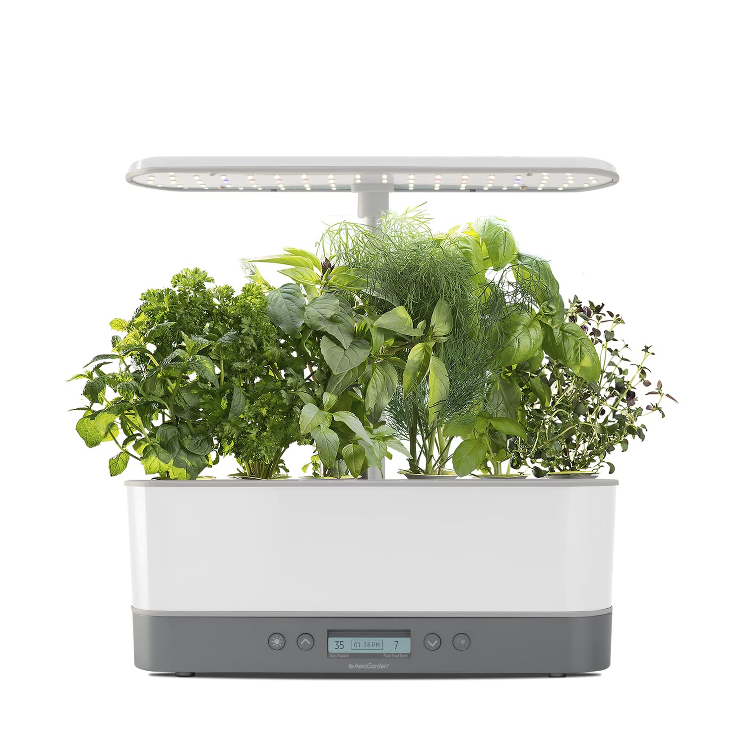 AeroGarden Harvest Elite Slim Indoor Garden Hydroponic System with LED Grow Light and Herb Kit, Holds up to 6 Pods, White