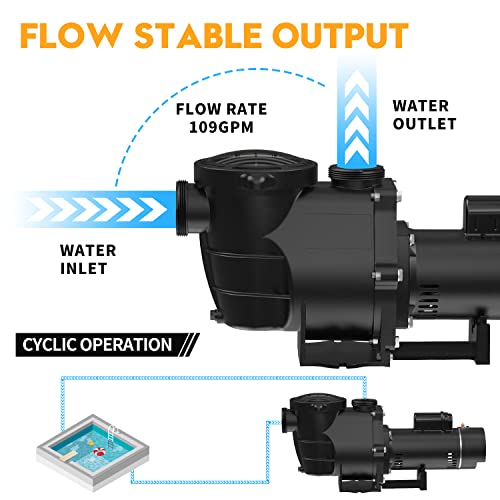 BRIOPAWS 2HP Dual Speed Pool Pump, 6420GPH Flow, 66FT Head Lift, 1.5" and 2" Fittings, Self-Priming Water Pump for Inground/Above Ground/Seawater Pools and Hot Tubs, ONLY 230V 60HZ AC