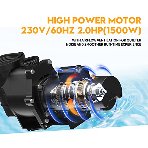 BRIOPAWS 2HP Dual Speed Pool Pump, 6420GPH Flow, 66FT Head Lift, 1.5" and 2" Fittings, Self-Priming Water Pump for Inground/Above Ground/Seawater Pools and Hot Tubs, ONLY 230V 60HZ AC