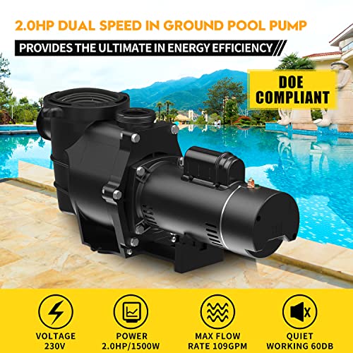 BRIOPAWS 2HP Dual Speed Pool Pump, 6420GPH Flow, 66FT Head Lift, 1.5" and 2" Fittings, Self-Priming Water Pump for Inground/Above Ground/Seawater Pools and Hot Tubs, ONLY 230V 60HZ AC