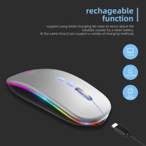 HOTLIFE LED Wireless Mouse, Slim Rechargeable Silent Bluetooth Mouse, Portable USB Optical 2.4G Wireless Bluetooth Two Mode Computer Mice with USB Receiver and Type C Adapter(Silver)