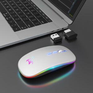 HOTLIFE LED Wireless Mouse, Slim Rechargeable Silent Bluetooth Mouse, Portable USB Optical 2.4G Wireless Bluetooth Two Mode Computer Mice with USB Receiver and Type C Adapter(Silver)