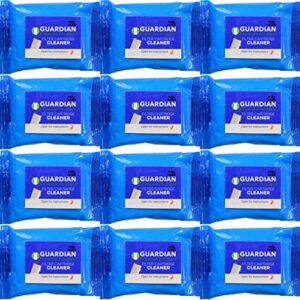 guardian filtration fw-12 filter wash 12-pack