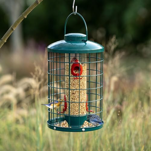 Mosloly Caged Bird Feeder for Wild Birds Outside, Large Squirrel-Proof Heavy-Duty Metal Hanging Tube Bird Feeder, 4 Feeding Ports, 13.2'' High, 3LB Seed Capacity (Green)