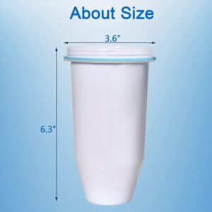 Water Filter Pitcher 10 Cup, 2 Filters and 1 TDS Meter Included, 6-Stage Filtration System to Remove 99.99% of Lead, Chlorine, Fluoride PFAS/PFOA/PFOS, Microplastic, Nitrate, Mercury, BPA Free
