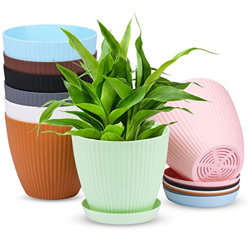 Whonline 8 Pack 6 Inch Flower Pots for Indoor Plants Colorful Plant Pots Outdoor Plastic Plant Planters with Drainage Hole for All House Plants Herbs Flowers and Seeding Nursery