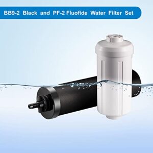 Water Filter Replacement for Berkey- Black Filters and Fluoride Filters Combo Pack Compatible with Berkey Water Filters Replacement- Pack of 4