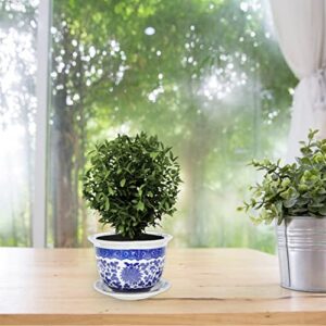 YARNOW Bonsai Hole Simple Seedling Plants Style Drainage Pots Pot Succulents, Indoor Flowerpot Plant and Storage Balcony Cactus Saucer, Display Pots, Office Porcelain White Inch Round