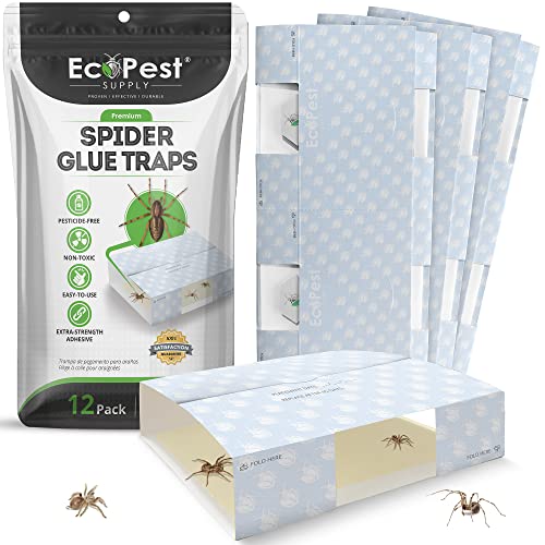 Spider Trap – 12 Pack | Sticky Indoor Glue Traps for Spiders and Other Bugs and Crawling Insects | Adhesive Spider Bait Trap, Monitor, Killer and Detector for Pest Control