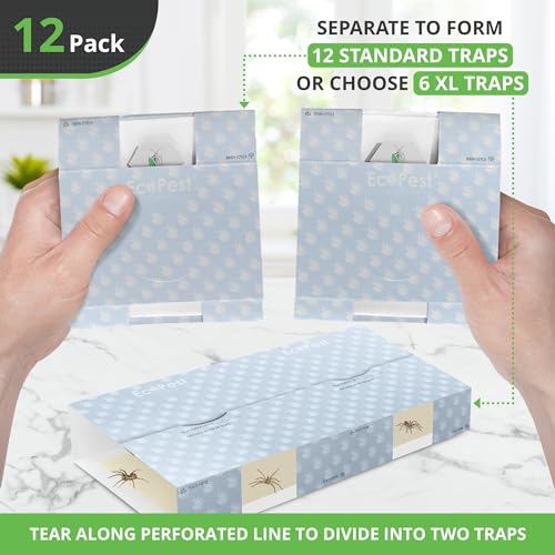 Spider Trap – 12 Pack | Sticky Indoor Glue Traps for Spiders and Other Bugs and Crawling Insects | Adhesive Spider Bait Trap, Monitor, Killer and Detector for Pest Control