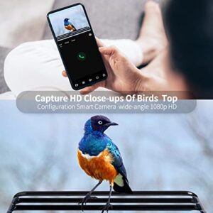 Smart Bird Feeder with Camera,Bird Feeder Camera Auto Capture Birds and Notify,1080P HD Bird Feeder Camera,Free 32G SD Card, Ideal Gift for Father's Day