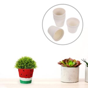 Happyyami 5 Pcs Flowerpot Indoor Planters Flower Succulent Pots Plants Pot Starting Pots Paintable Planter Pots Gardening Containers Mini Flower Pot White Vegetable Succulents Plastic Child