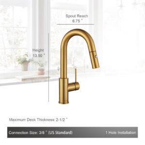 AS1514XG Brushed Gold Bar Sink with Glass Riner and AguaStella AS59BG Brushed Gold Pull Down Bar Faucet