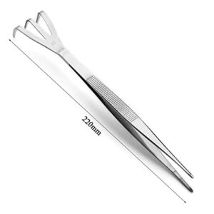 Bonsai Tools Bonsai Tweezers Rake & Scraper (JTT-02)