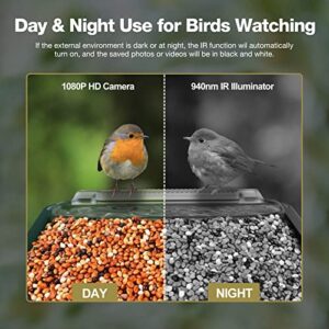 NUOTUN Smart Bird Feeder Camera with PIR Motion Detection - 1080P Auto Capture Photo&Video - Night Vision Bird House - with Hummingbird Feeder & Mounting Accessories - 32G Card