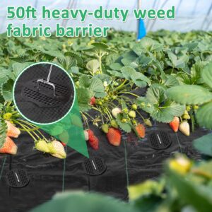 Weed Barrier Landscape Fabric - 4 x 50ft Heavy Duty Weed Blocker Blanket Cloth with 20 Staples & Gasket, 3.2oz Double-Layer Weaving Gardening Mat Landscaping Ground Cover for Vegetable Flower Bed