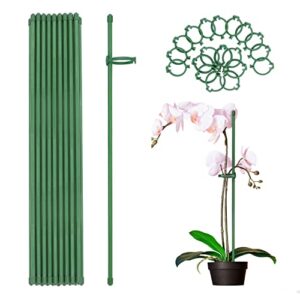 plant stakes green adjustable garden single stem plant support stakes,19pcs plant support sticks with rings for indoor and outdoor plants,flowers,tomatoes-16 inches