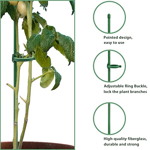 Plant Stakes Green Adjustable Garden Single Stem Plant Support Stakes,19Pcs Plant Support Sticks with Rings for Indoor and Outdoor Plants,Flowers,Tomatoes-16 inches