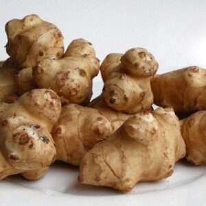 25 Live Jerusalem Artichoke Tubers | Sunchokes by Greenhouse PCA | Fresh Sunchoke Bulbs for Eating or Planting