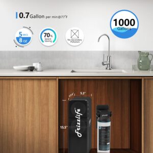 Frizzlife RO Reverse Osmosis Water Filtration System - 1000 GPD Fast Flow, Tankless, Alkaline Mineral PH, Household and Commercial Usage, PD1000-TAM4, with Two Year Replacement Filters