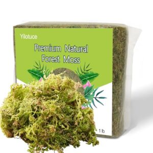 yilotuce 1 lb natural orchid moss for potted plants, nice soilless potting soil for seedling and cutting, good idea for reptile terrarium, crafts, garden decoration