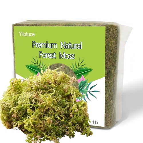 Yilotuce 1 lb Natural Orchid Moss for Potted Plants, Nice Soilless Potting Soil for Seedling and Cutting, Good Idea for Reptile Terrarium, Crafts, Garden Decoration