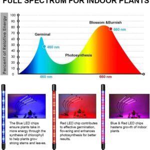 PYLYFE Full Spectrum Plant Grow Light, Grow Lights for Indoor Plant, Clip-on Full Spectrum Grow Light, Flexible Gooseneck, Automatic Timer, 4 Brightness Levels for Seedling Growing Blooming Fruiting 