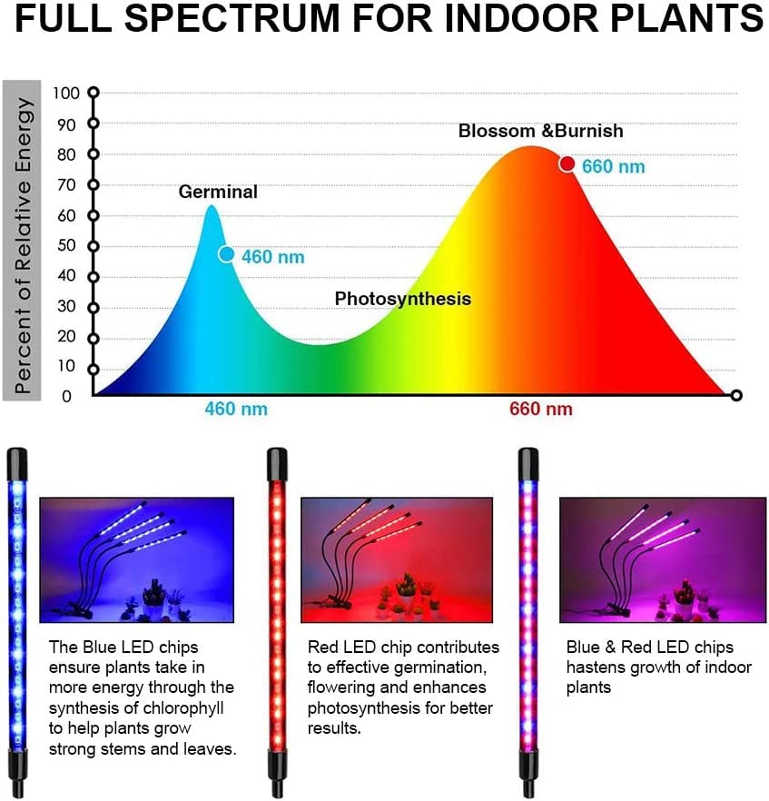 PYLYFE Full Spectrum Plant Grow Light, Grow Lights for Indoor Plant, Clip-on Full Spectrum Grow Light, Flexible Gooseneck, Automatic Timer, 4 Brightness Levels for Seedling Growing Blooming Fruiting 