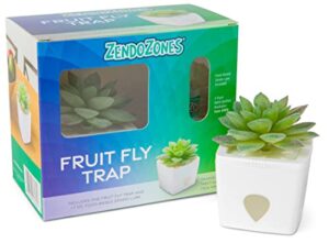 zendozones fruit fly trap with zendo lure, joyful janet with plastic white base, refillable and reusable