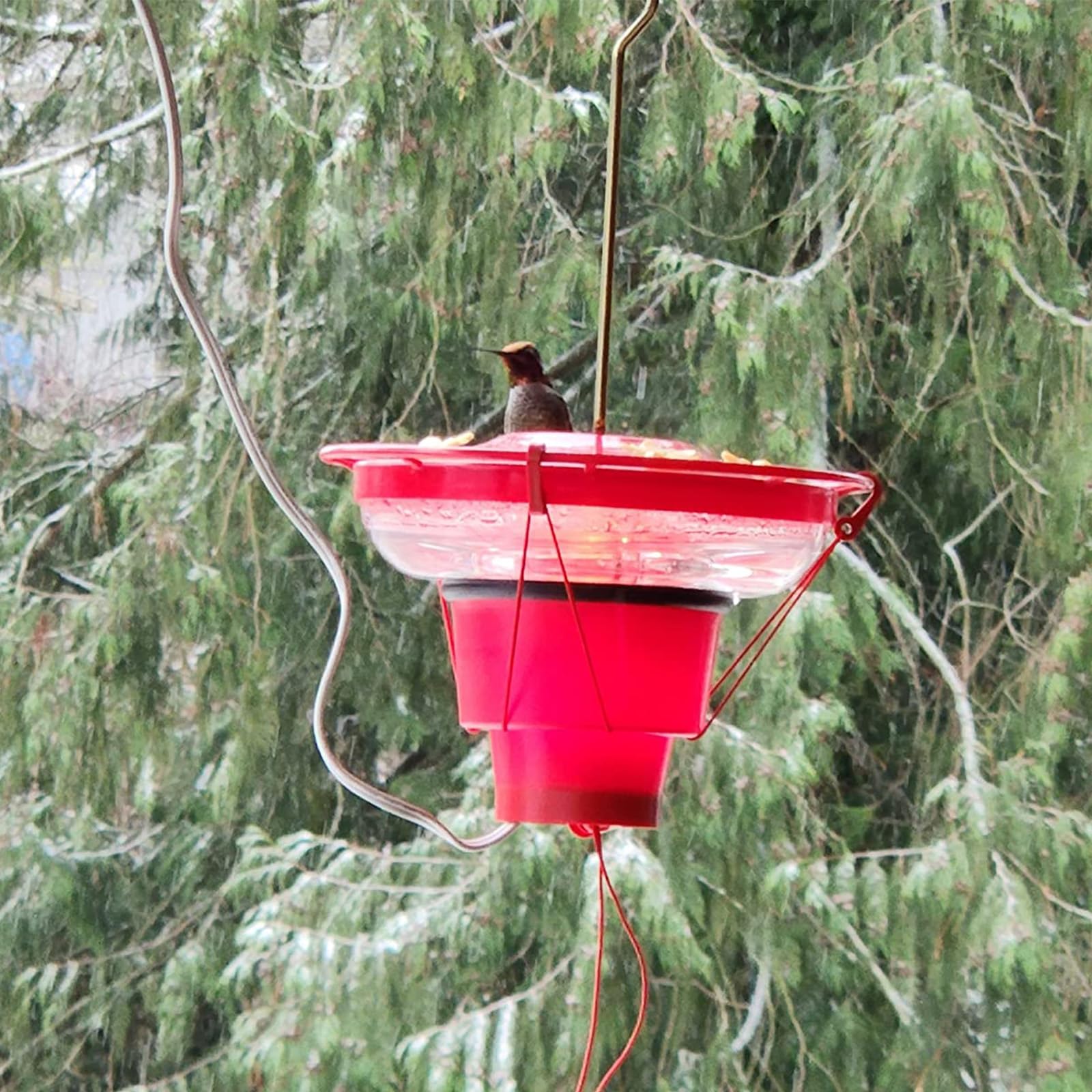 SHWORON Heated Hummingbird Feeders Outdoors, Feeder Heater Attaches to Bottom for Feed Hummingbirds in Freezing Weather Winter Outdoor Garden (Red) 13×13×7