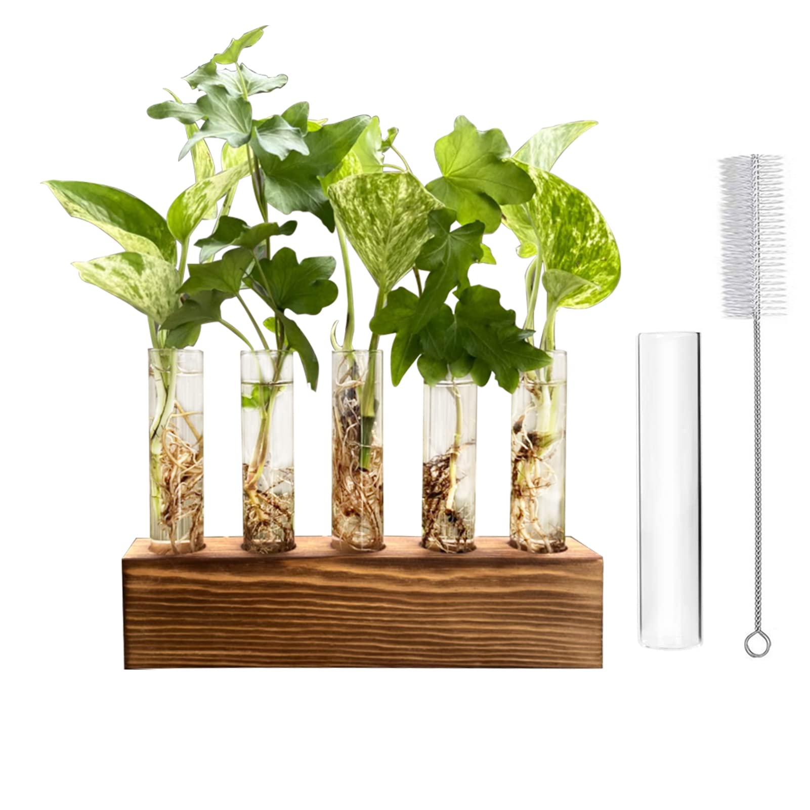 LitiVibecho Plant Propagation Station, Wooden Stand with 5 Glass Tubes, Desktop Plant Terrarium for Home Office Garden Decoration,Propagation Tube,Plant Propagation Tube,