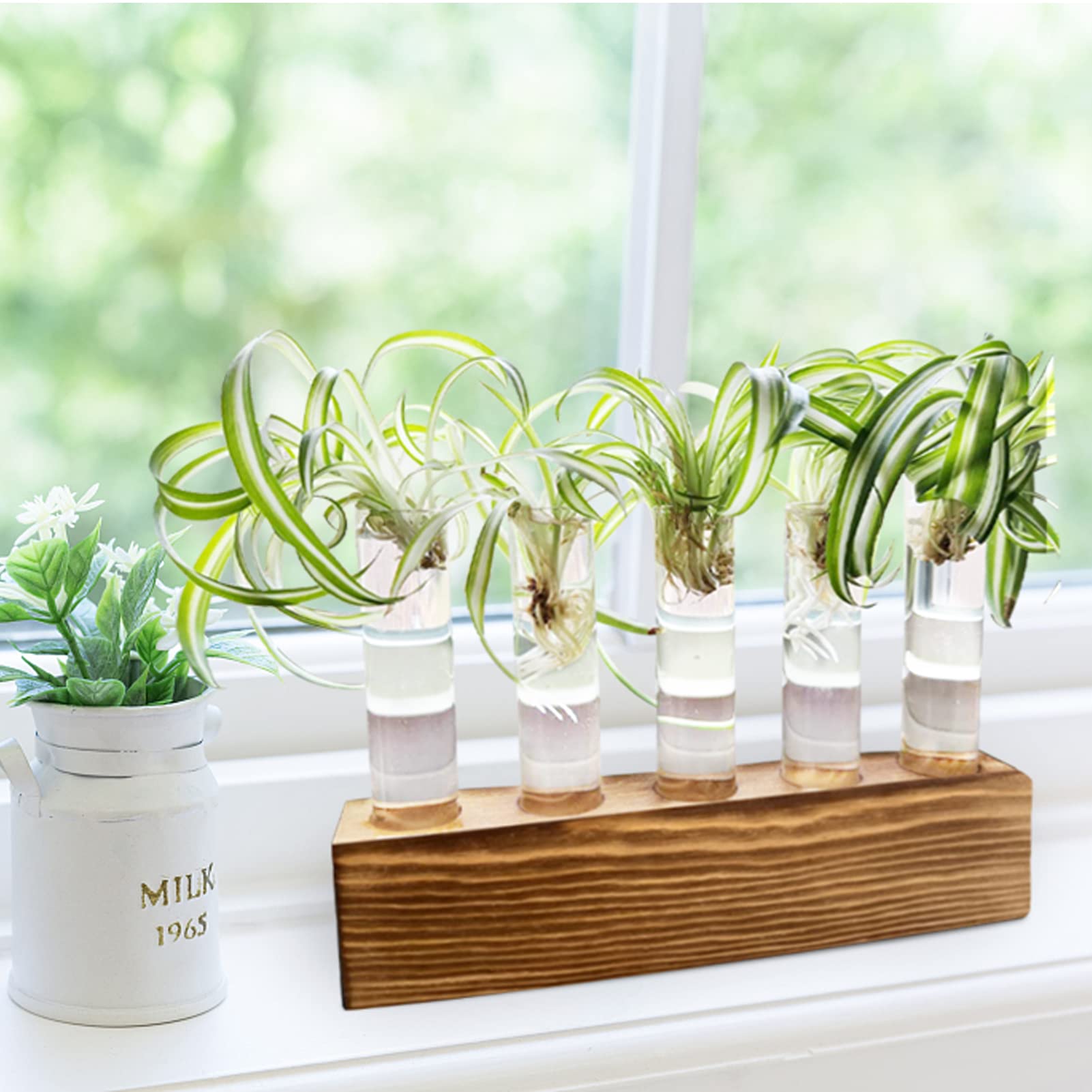 LitiVibecho Plant Propagation Station, Wooden Stand with 5 Glass Tubes, Desktop Plant Terrarium for Home Office Garden Decoration,Propagation Tube,Plant Propagation Tube,