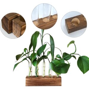 LitiVibecho Plant Propagation Station, Wooden Stand with 5 Glass Tubes, Desktop Plant Terrarium for Home Office Garden Decoration,Propagation Tube,Plant Propagation Tube,