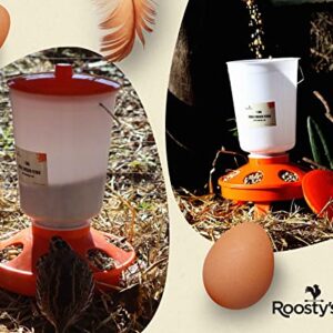 Roosty's Chick Feeder and Waterer Kit, Chicken Feeder and Waterer Set, 1.5kg Poultry Feeder and 1.5L Chick Waterer - Baby Chick Feeder, Baby Chick Waterer, Chicken Starter Kit, Baby Chicken Supplies