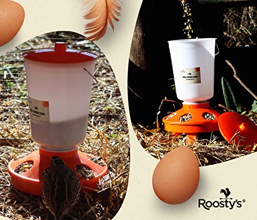 Roosty's Chick Feeder and Waterer Kit, Chicken Feeder and Waterer Set, 1.5kg Poultry Feeder and 1.5L Chick Waterer - Baby Chick Feeder, Baby Chick Waterer, Chicken Starter Kit, Baby Chicken Supplies