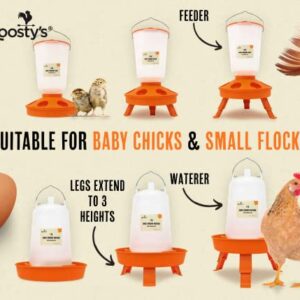 Roosty's Chick Feeder and Waterer Kit, Chicken Feeder and Waterer Set, 1.5kg Poultry Feeder and 1.5L Chick Waterer - Baby Chick Feeder, Baby Chick Waterer, Chicken Starter Kit, Baby Chicken Supplies