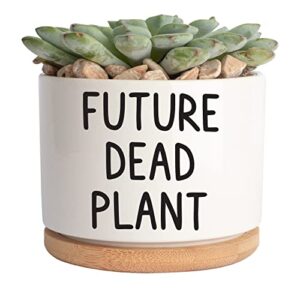 jenvio future dead plant | ceramic succulent pot plant | cool birthday christmas planter stuff | unique gift | home kitchen office decor 3.6 inch (plant not included)