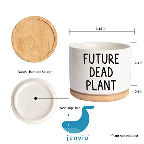 JENVIO Future Dead Plant | Ceramic Succulent Pot Plant | Cool Birthday Christmas Planter Stuff | Unique Gift | Home Kitchen Office Decor 3.6 Inch (Plant Not Included)
