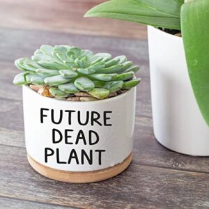 JENVIO Future Dead Plant | Ceramic Succulent Pot Plant | Cool Birthday Christmas Planter Stuff | Unique Gift | Home Kitchen Office Decor 3.6 Inch (Plant Not Included)