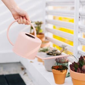 Garden Watering Can Watering Can Indoor for House Plants Indoor and Outdoor Long Spout Watering Can for Succulent Garden Bonsai Garden Flower with Plastic Plant Mister, 1.3L Watering Can for Outdoor P