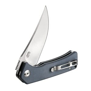 Firebird GANZO FH923-GY Folding Pocket Knife Razor Sharp D2 Steel Blade Ergonomic G10 Anti-Slip Handle with Clip Camping Hunting Fishing Gear Outdoor Folder EDC Pocket Knife (Grey)