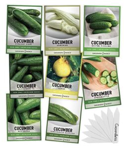 cucumber seeds for planting outdoors 8 variety pack burpless tendergreen, beit alpha, marketmore 76, armenian, boston pickling, lemon, spacemaster, straight eight veggie seeds by gardeners basics