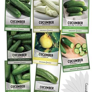 Cucumber Seeds for Planting Outdoors 8 Variety Pack Burpless Tendergreen, Beit Alpha, Marketmore 76, Armenian, Boston Pickling, Lemon, Spacemaster, Straight Eight Veggie Seeds by Gardeners Basics