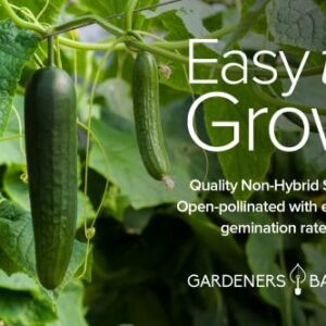 Cucumber Seeds for Planting Outdoors 8 Variety Pack Burpless Tendergreen, Beit Alpha, Marketmore 76, Armenian, Boston Pickling, Lemon, Spacemaster, Straight Eight Veggie Seeds by Gardeners Basics