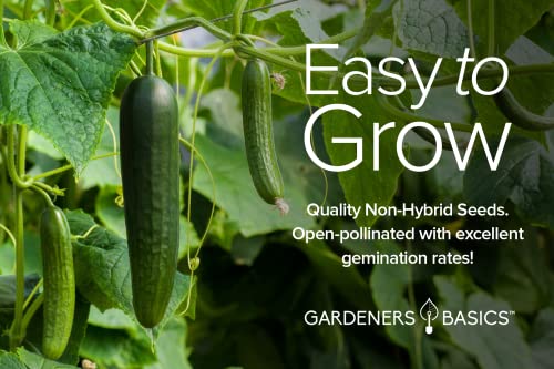 Cucumber Seeds for Planting Outdoors 8 Variety Pack Burpless Tendergreen, Beit Alpha, Marketmore 76, Armenian, Boston Pickling, Lemon, Spacemaster, Straight Eight Veggie Seeds by Gardeners Basics