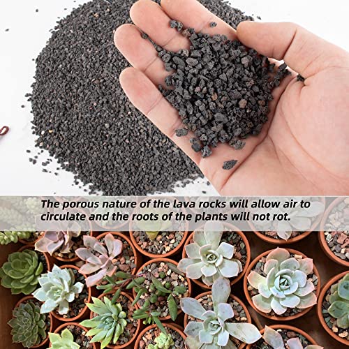 18LB Black Horticultural Lava Rock Soil for Decorative Landscaping Bonsai, Cacti, Succulents Plants Top Dressing for Release Excess Water