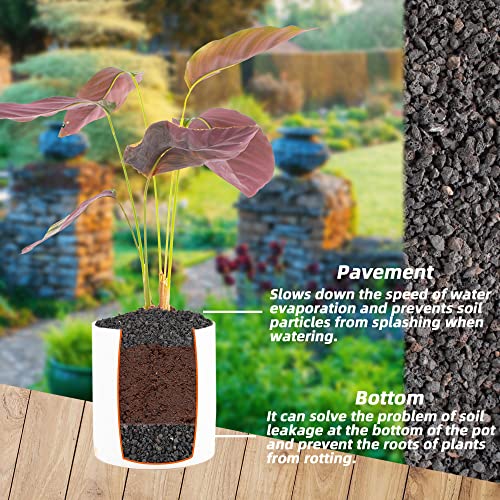 18LB Black Horticultural Lava Rock Soil for Decorative Landscaping Bonsai, Cacti, Succulents Plants Top Dressing for Release Excess Water