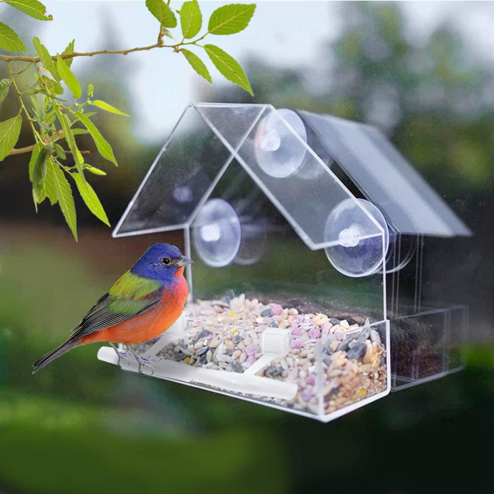 WLLKOO Window Bird Feeder, Bird House for Outside with 2 Rod, Small Acrylic Window Bird Feeder with Strong Suction Cups and Drain Holes 5.9 * 2.4 * 5.9 inch