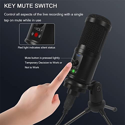 DULASP Microphone is Suitable for Laptop Professional USB Microphone Game Live Broadcast
