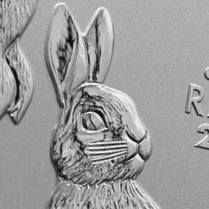 2023 P 1/2 oz Silver Australian Lunar Series III Year of the Rabbit Coin (in Capsule) Brilliant Uncirculated 50c Seller BU